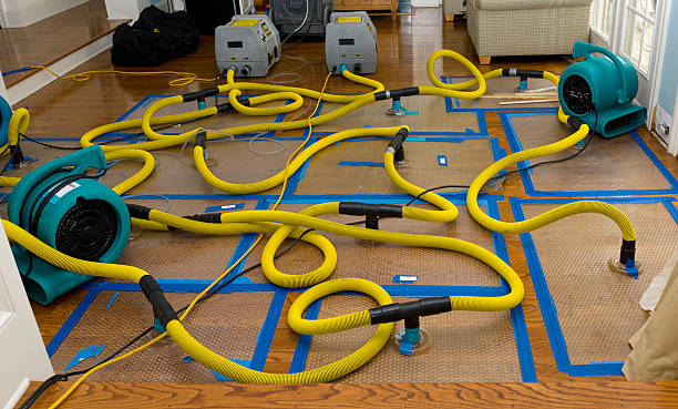 Professional Crawl Space Water Removal technician working in Perry, FL